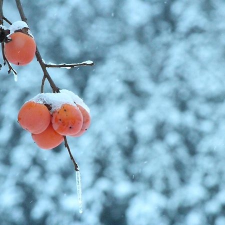 Nozawa Dream Otel Dış mekan fotoğraf
