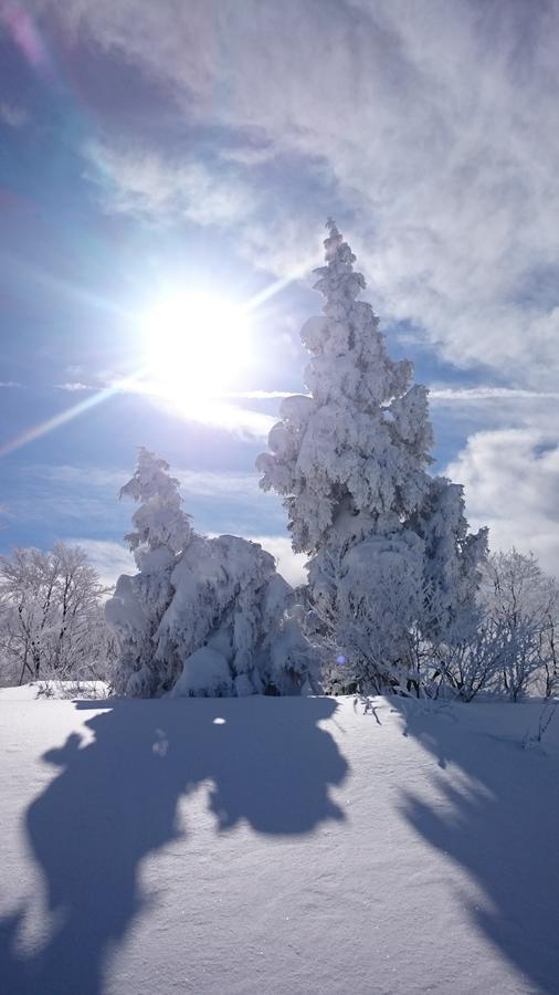 Nozawa Dream Otel Dış mekan fotoğraf