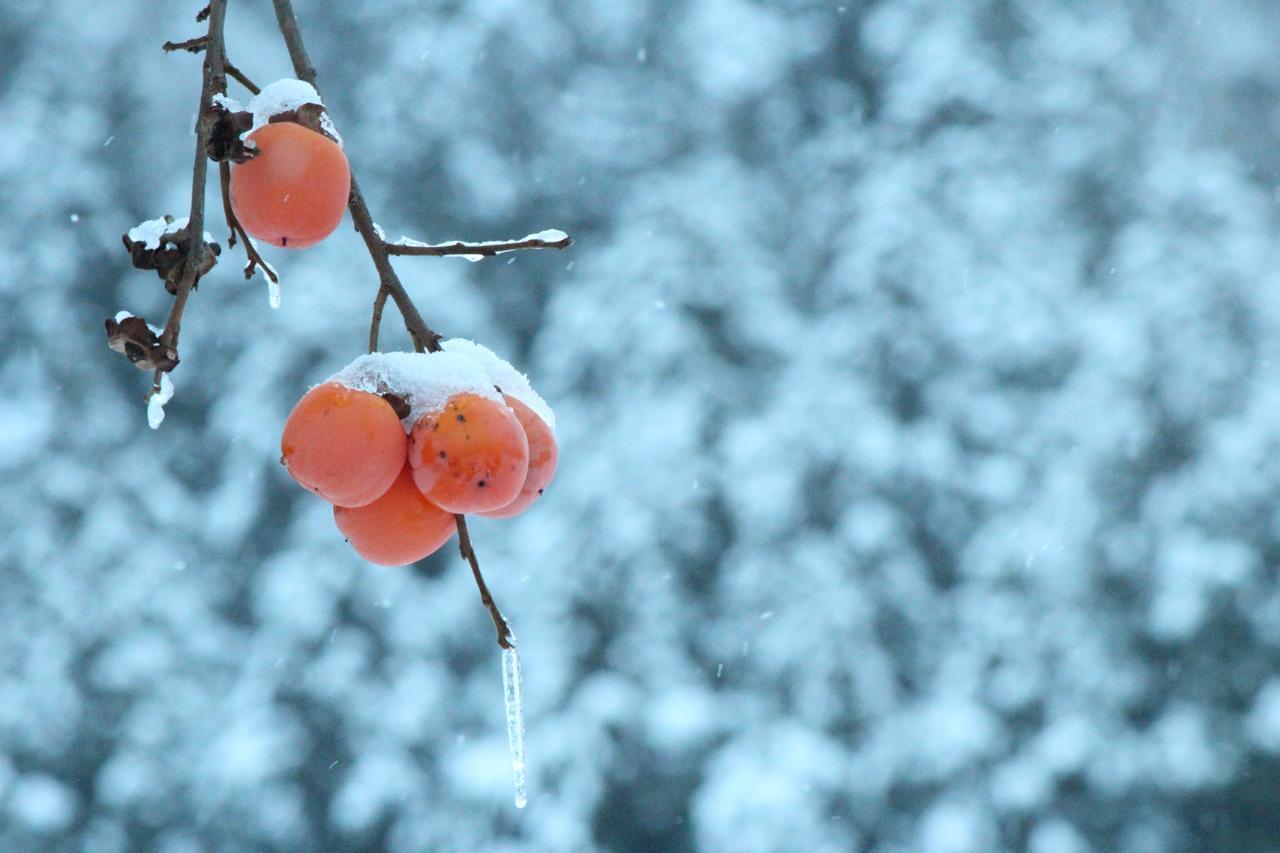 Nozawa Dream Otel Dış mekan fotoğraf